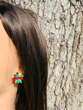 Load image into Gallery viewer, Colorful  Melon Seeds Stud Earrings